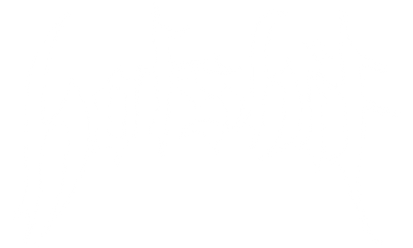 TeamHotShit